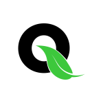 Logo_Qalynt_2