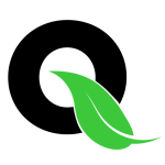 cropped-Logo_Qalynt_2.png cropped-Logo_Qalynt_2.png
